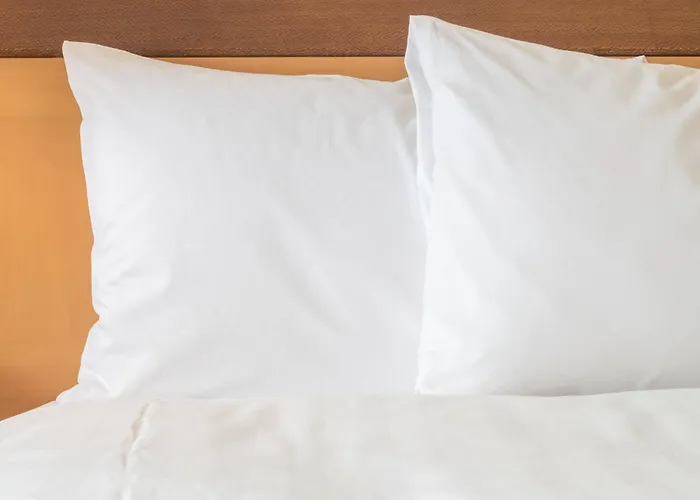 Hotel Express - Downtown By Ihg 2*
